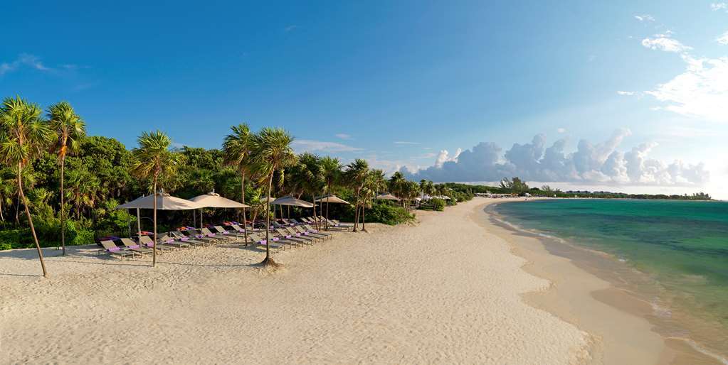 Royal Service At Paradisus La Perla (Adults Only) Playa del Carmen Natureza foto